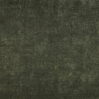 Il Larne swatch